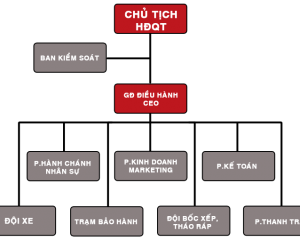 Sơ đồ tổ chức